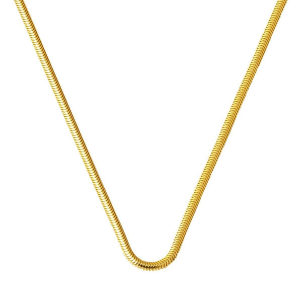 14 Ayar Altın Balıksırtı Zincir 45 cm